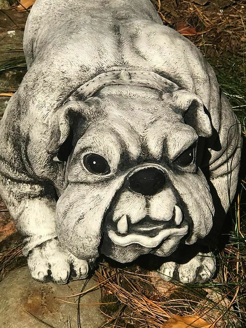 Pies Bulldog figura betonowa