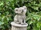 Koala Figura betonowa